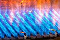 Marsh gas fired boilers